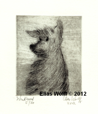 Windhund Windhund