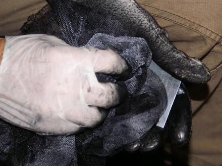 5) Abwischen der bersschssigen Farbe mit Gaze
