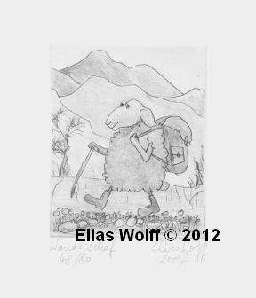 Wanderschaf Wanderschaf